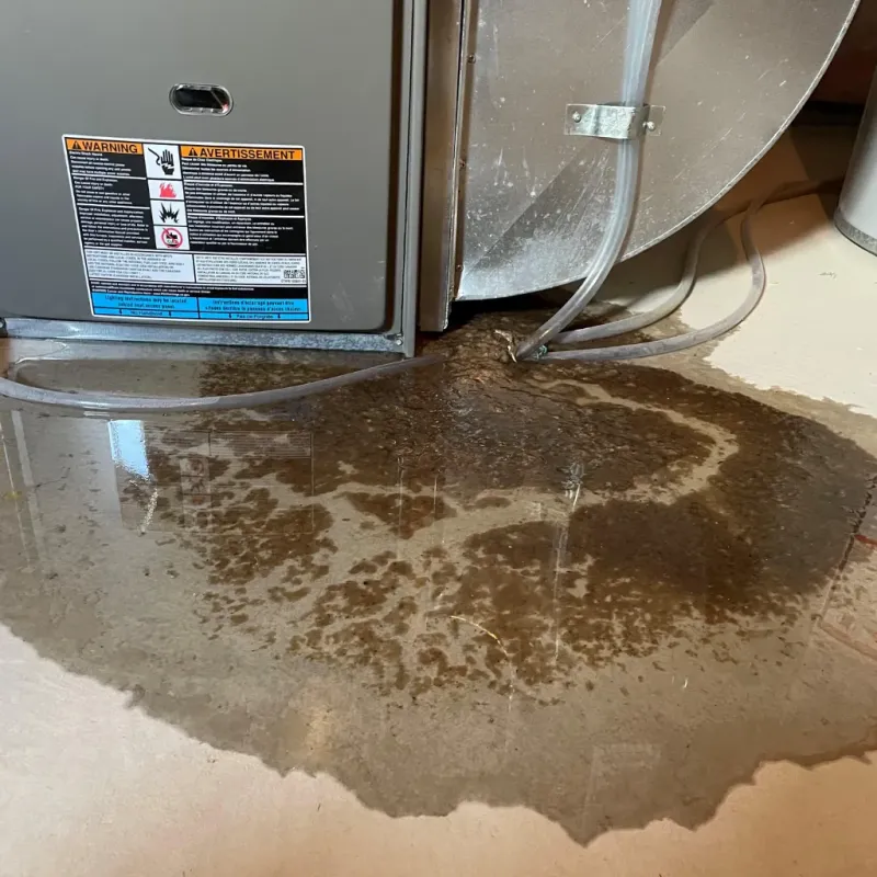 Appliance Leak Cleanup in Saint Gabriel, LA